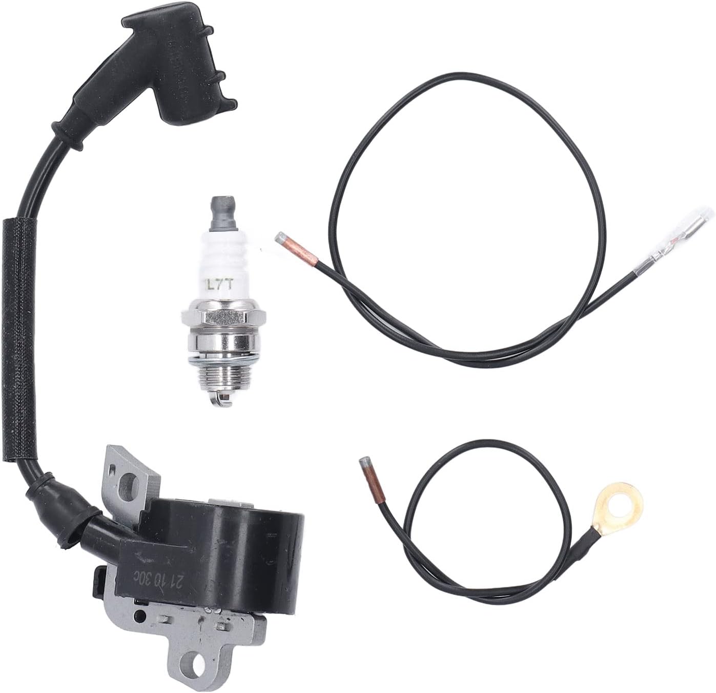 Ignition Coil Module, Ignition Coil Module with Spark Plug