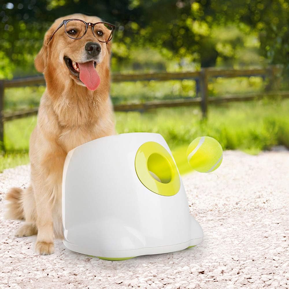 ALL FOR PAWS Pelotas de tenis interactivas para perros, juguetes seguros para mascotas para ejercicio y entrenamiento, 2.5 pulgadas de diámetro (paquete de 6)