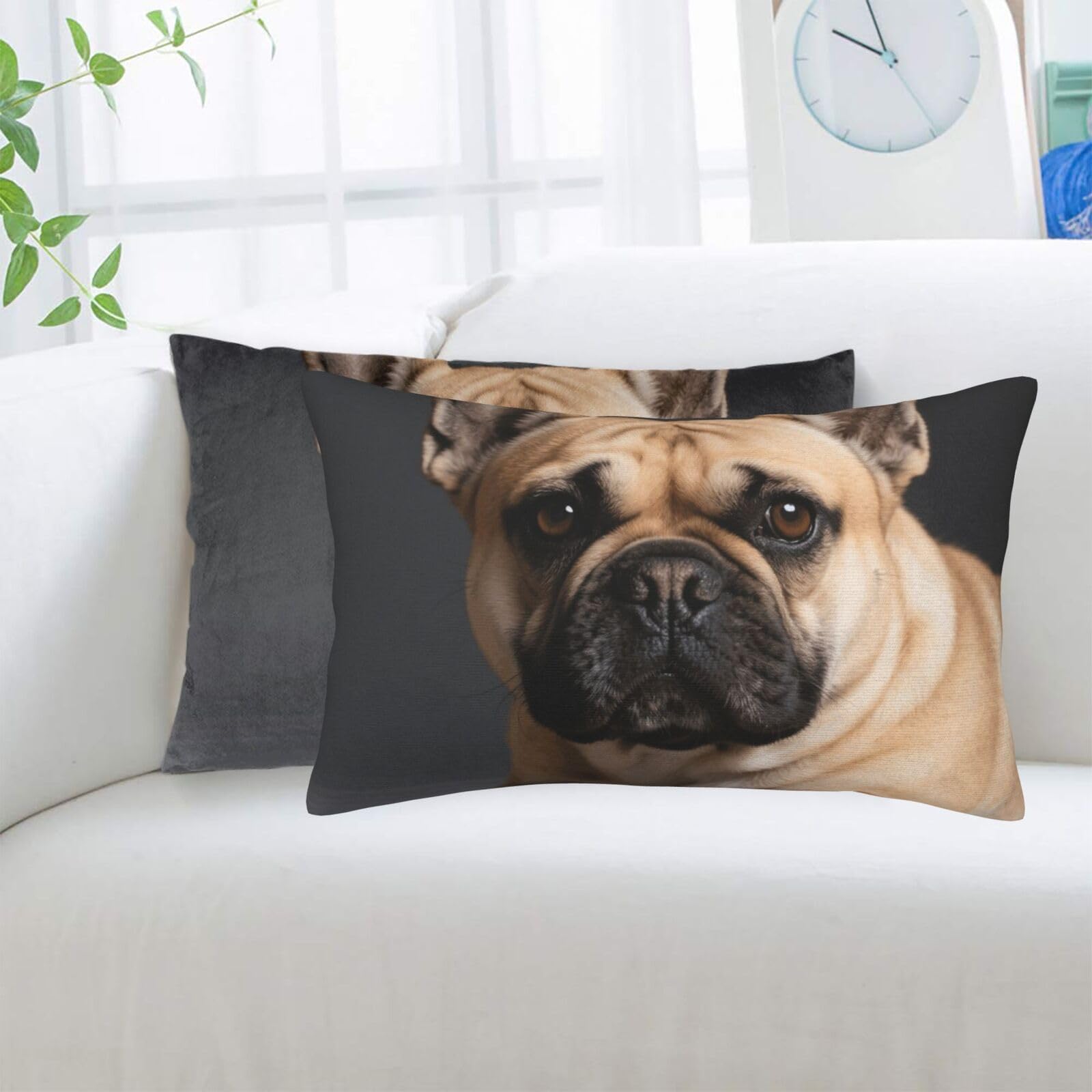 2 Pack Standard Pillowcases Sets, Ultra Soft Comfort Microfiber Plush Pillow Cases Dog Decorative Throw Pillow Cover with Hidden Zipper for Bedroom, Sofa, Couch,16"X24"