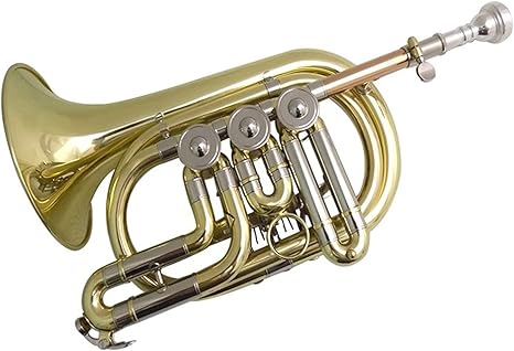 Amazon Co Jp ロータリーbbコルネット楽器イエローブラスコルネットトランペット ケースとマウスピース付き Trumpet 初心者セット 楽器 音響機器