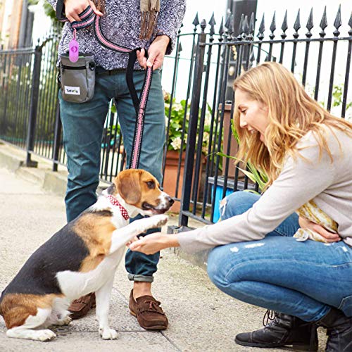 Jsxd Dog Leash,5 Ft Heavy Duty Double Handle Dog Leash With Comfortable Padded And Reflective,Rope Dog Leashes For Small,Medium,Large Dogs (Wide-Pink) #TOP4