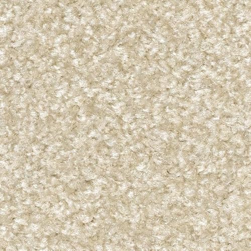 �T���Q�c �^�C���J�[�y�b�g STYLE KIT�{ BRIGHT �X�^�C���L�b�g �v���X �u���C�g KIT-1651 �V�F�� �y10���Z�b�g�z�~������ 40×40cm �ӂ��ӂ����G��m��􂢁E���gOK�n