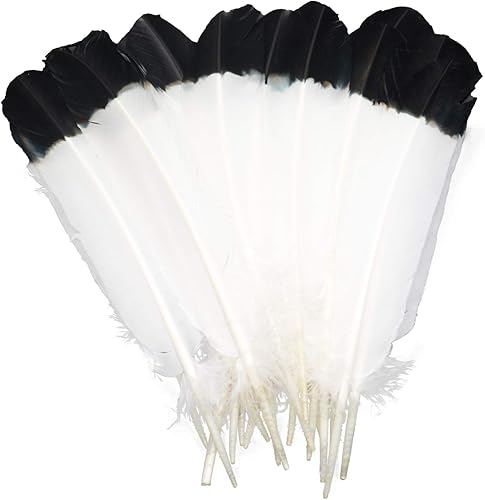 Miniatura 2 de Ws&Wt 20 plumas de pavo de 10 a 12 pulgadas para manualidades, plumas redondas, alas derechas e izquierdas, decoración de fiesta, disfraz de fiesta,