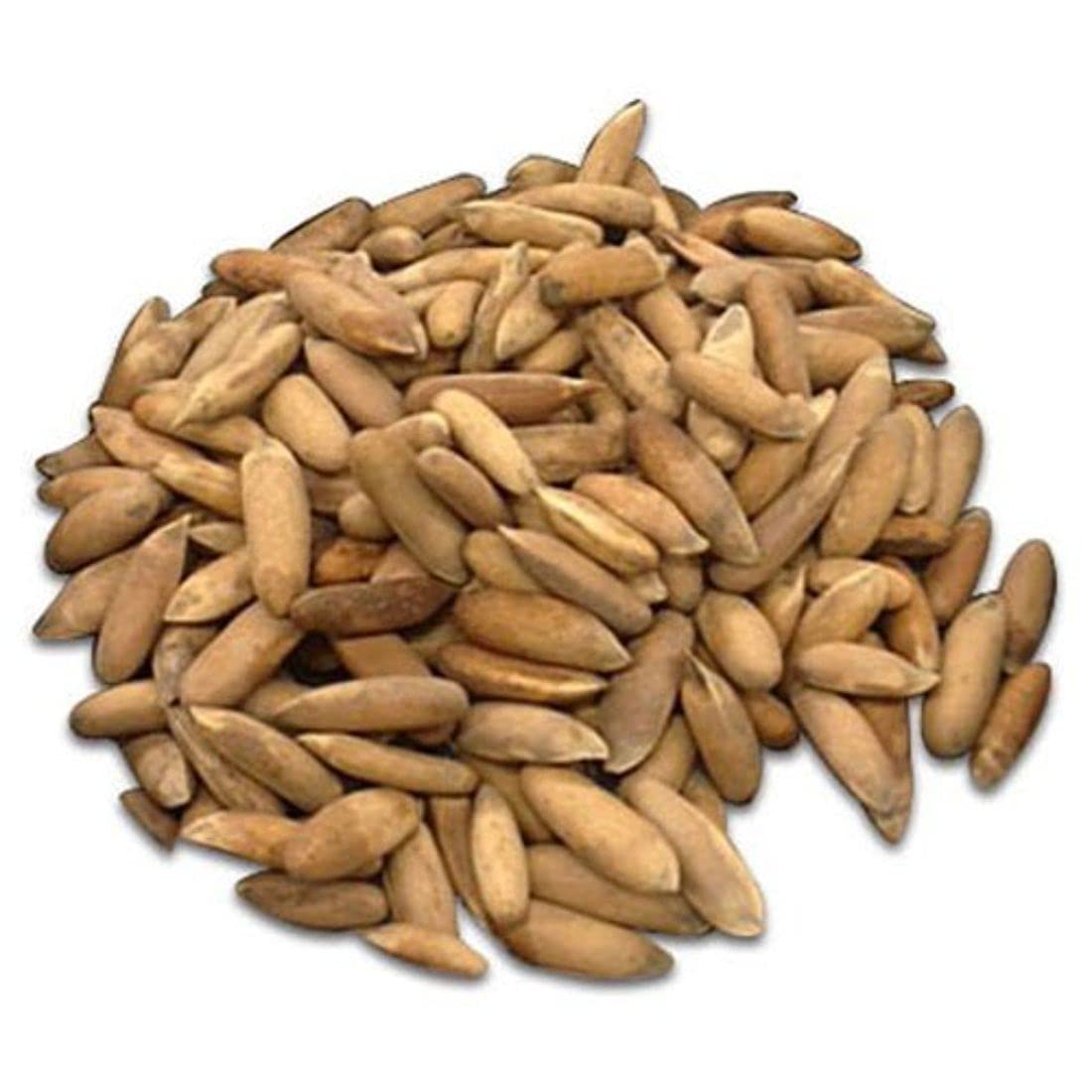 Neja Chilgoza / Pine Nuts 250 gm (8.81 oz )