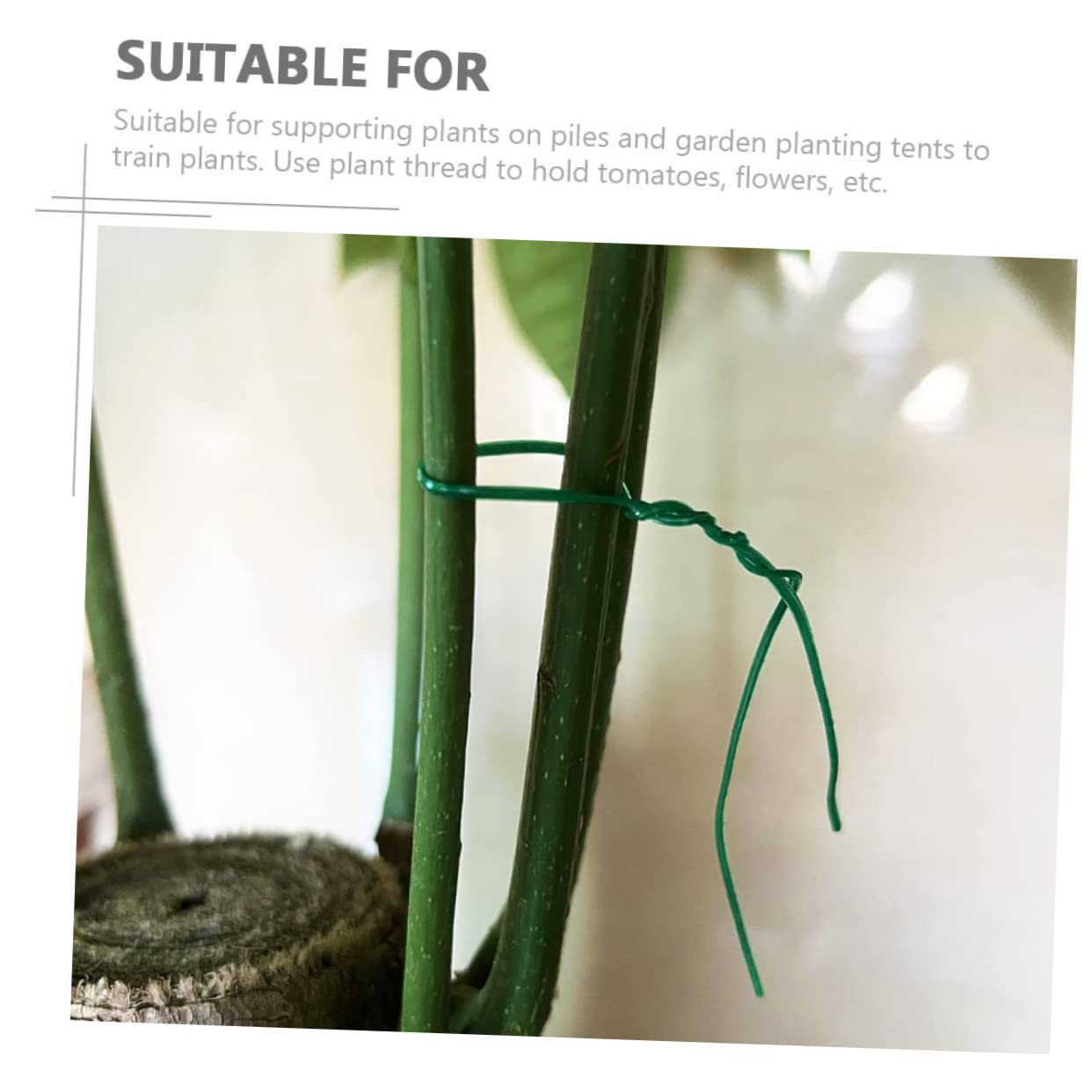 Yardwe 2000pezzi per Legature per Giardinaggio per Sostenere e Rampicanti e Flessibile