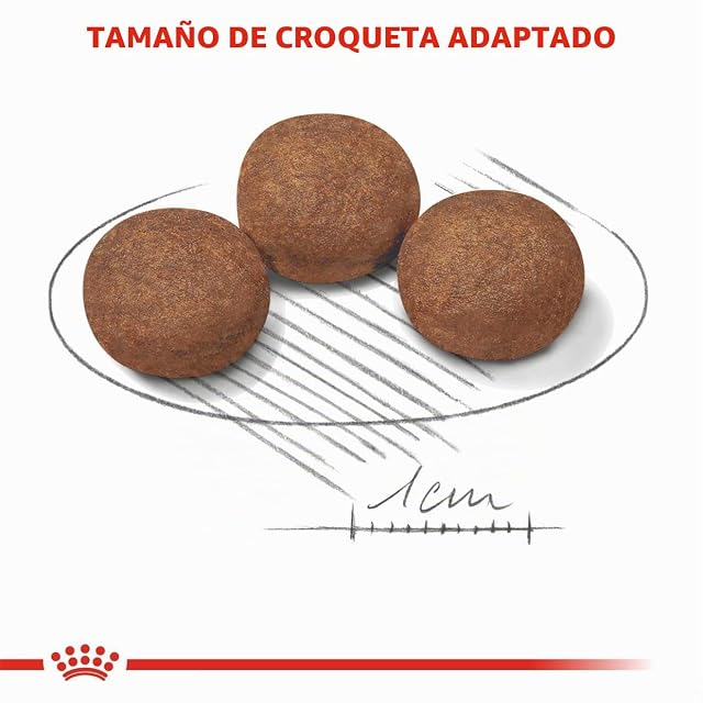 Foto 4 de 8 de Royal Canin - Pienso para perros cachorros raza mediana Royal Canin