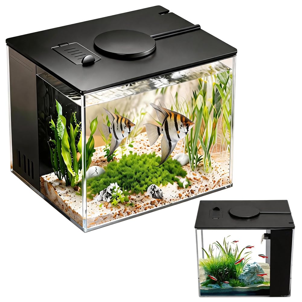 DASIAUTOEM Petit aquarium Betta complet 15 x 11 x 13 cm, mini aquariums en acrylique, aquarium, luminaires, nourriture pour poissons et système de filtration intégré, pour petits poissons, crevettes