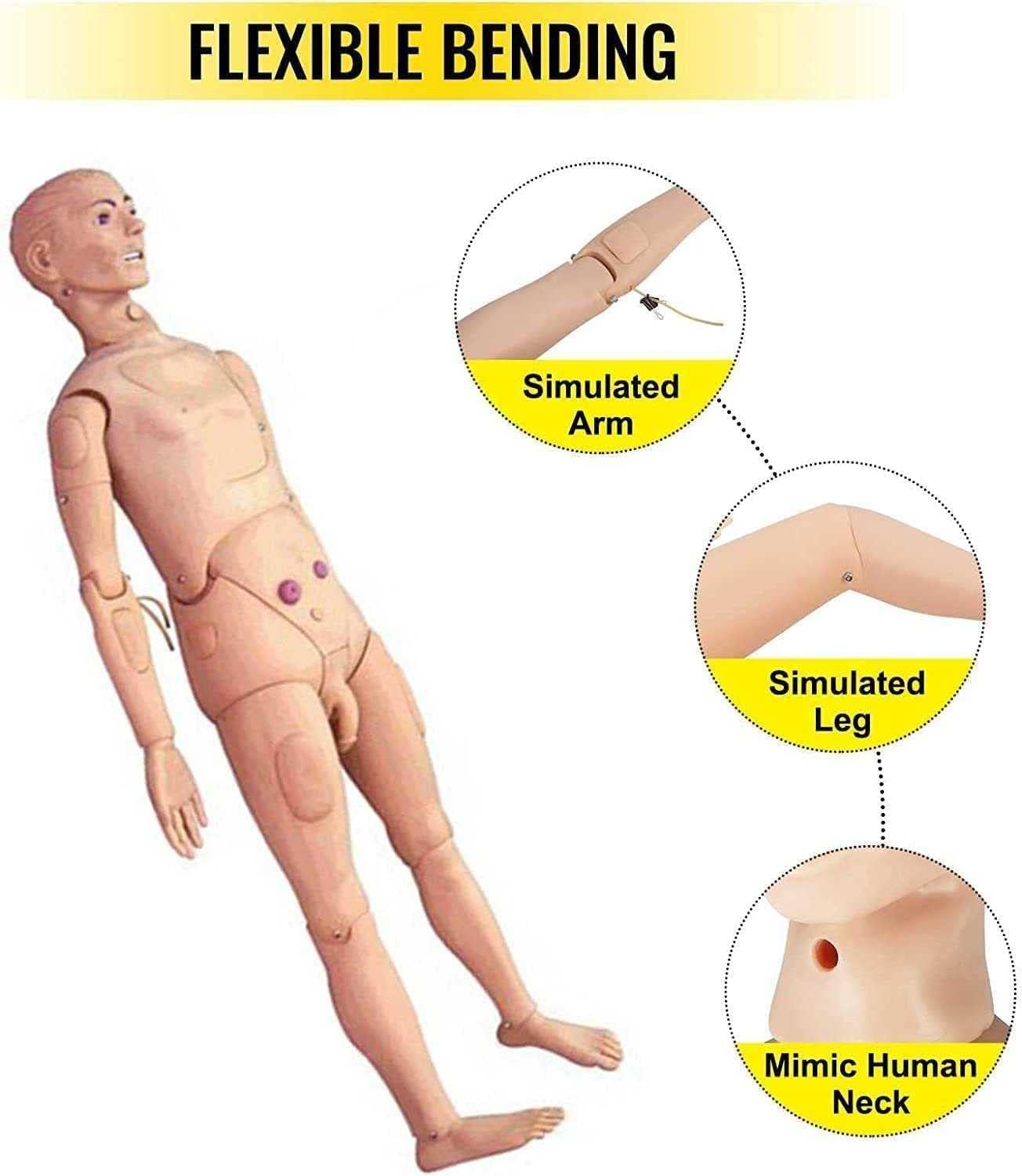 Mannequin de Soins aux Patients Grandeur Nature de 5,7 Pieds, Simulateur de RCP, Mannequin de Modèle Humain Corps Complet, pour L'éducation des Étudiants