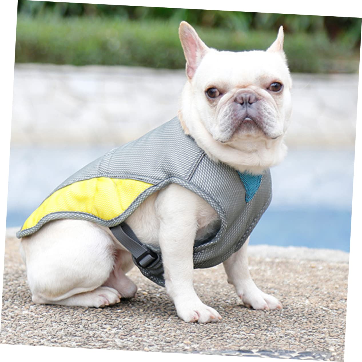 Sosoport 3pièces Gilet Refroidissant pour Chien Veste Été Respirante Et Réfléchissante pour Animaux De s Parfaite pour Promenades Et Activités Plein Air