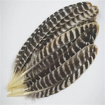 8-16IN/20-40Cm Natural Eagle Feathers Eagle Bird Craft Feather Home Wedding Decoration Feathers 20-25CM 8-10IN 10 Pcs