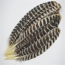 8-16IN/20-40Cm Natural Eagle Feathers Eagle Bird Craft Feather Home Wedding Decoration Feathers 20-25CM 8-10IN 10 Pcs