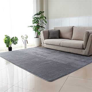 居間 カーペット 50x80cm ラグ 洗える部屋ラグマット絨毯 北欧 滑り止め付 防ダニ 抗菌 防臭 1年中使えるタイプ 床暖房 ホットカーペット対応 ふわっと手触り 暖かいじゅうたんソファサイド の窓の敷居ベッドサイドマット A4