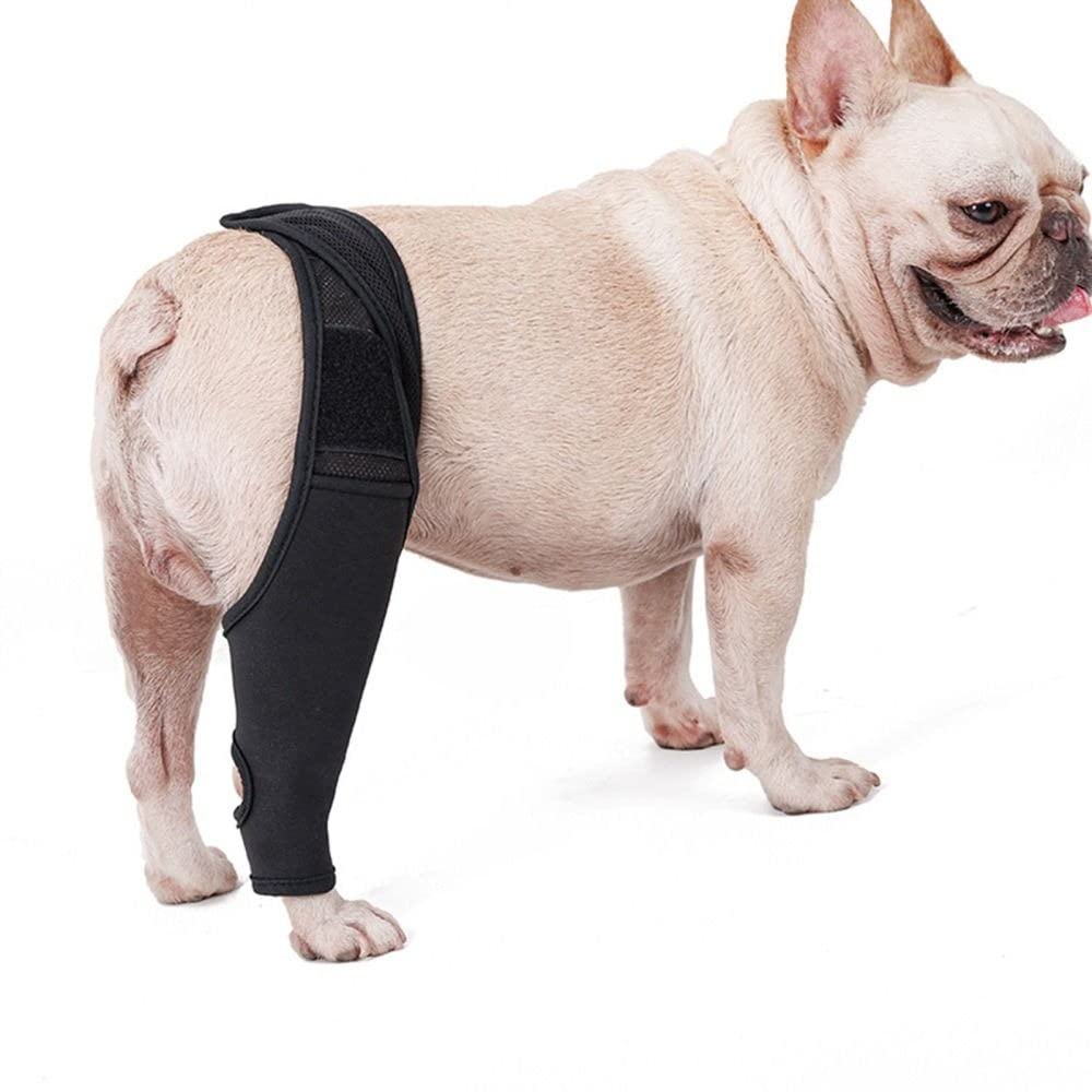 gofidin Dog Leg Support Brace, Pet Knee Pads Dog Elbow Support Brace Protector Breathable Knee Brace Injury Recover Legs Wrap Reduces Pain and Inflammation