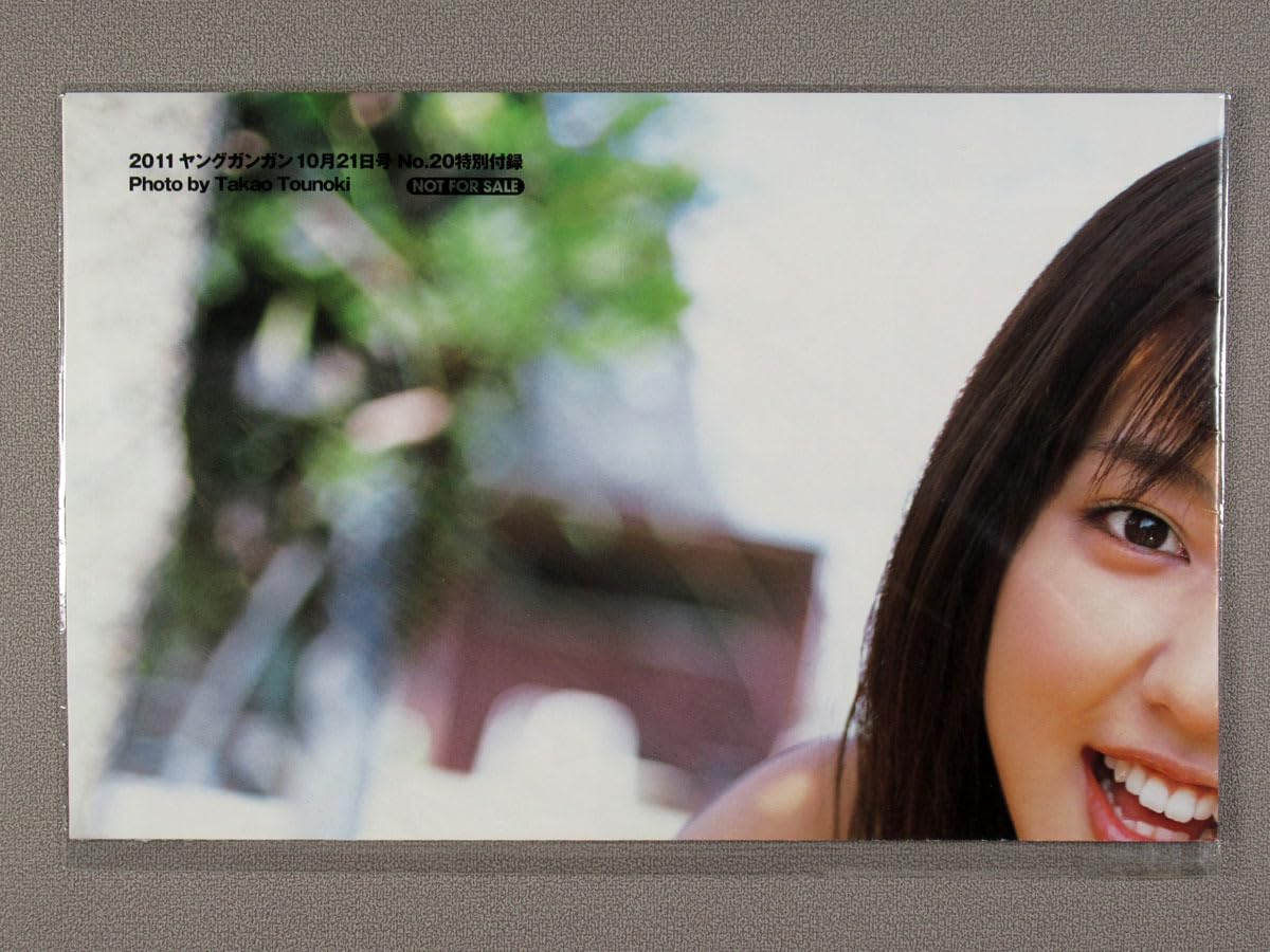 「ヤングガンガン」あのちゃん20名限定グラビアカード Amazon.co.jp: gf06 真野恵里菜 ヤングガンガン 2011 No.20 付録