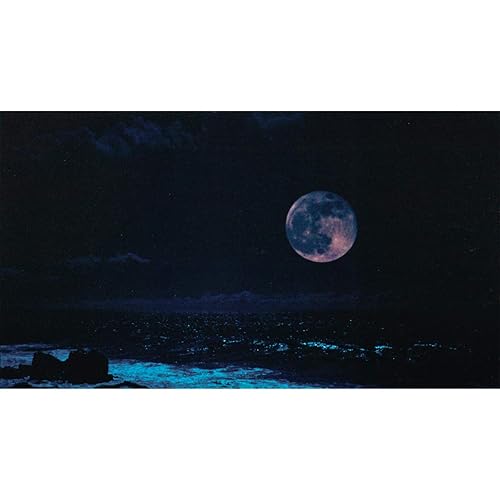 Amazon Music Buck Tickのjupiter Amazon Co Jp