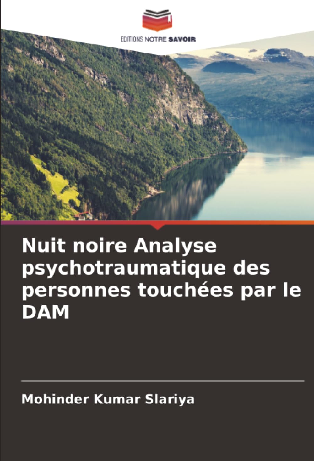 Nuit noire Analyse psychotraumatique des personnes touchées par le DAM