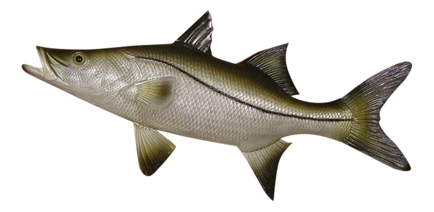 Replica Snook Ocean Coastal Fly Fishing Wall Decor
