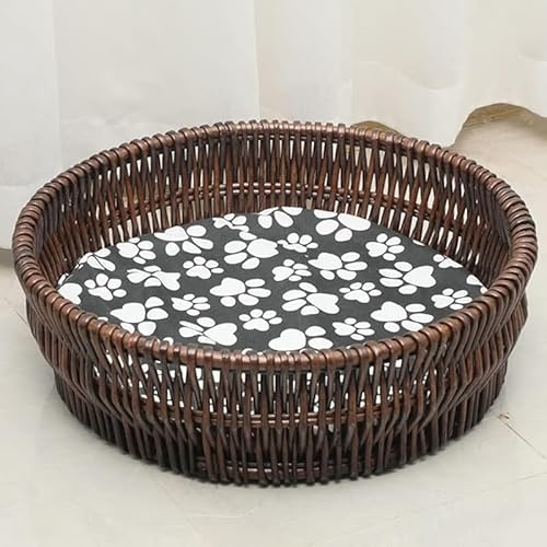 RutexcLpxbh |ق̃ybg\t@ _炩ȉ~` Ɨ^ ϋv lGΉ ʋC Lpxbh