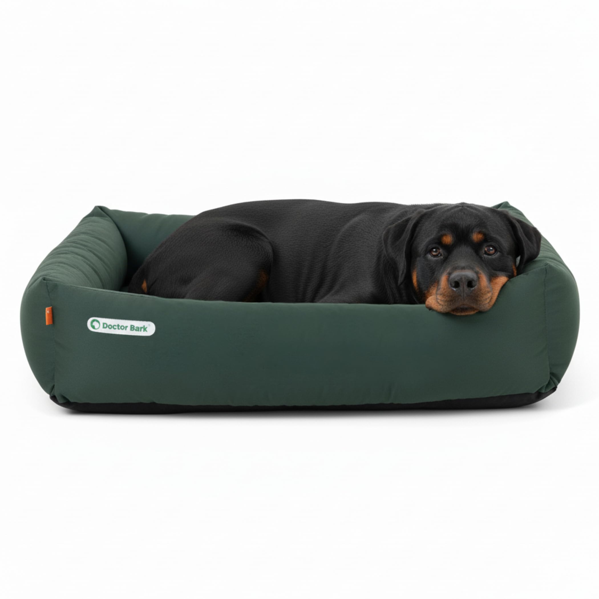 Doctor Bark Hundebett Orthopädisch - Waschbar bis 95°C, Geruchsfrei & Hygienisch - Kuscheliger Hundekorb Grosse Hunde mit Hundematratze (XXL - 110x100 cm, Grün)