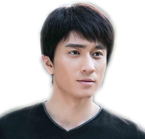 爆買い メンズ ウィッグ 100 人毛 ストレート ショート ウィッグ かつら 男性用 ショートカール Labelians Fr