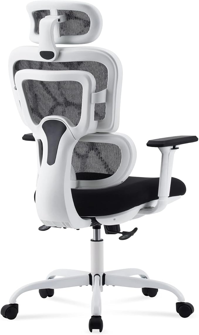 Devoko Ergonomic Desk Chair High Back Office Chair with Lumbar Support