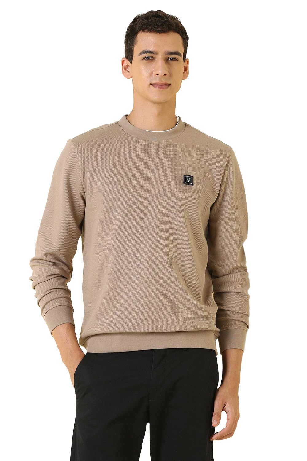 allen solly Men Solid Crew Neck Sweatshirt with Twill-picture-13