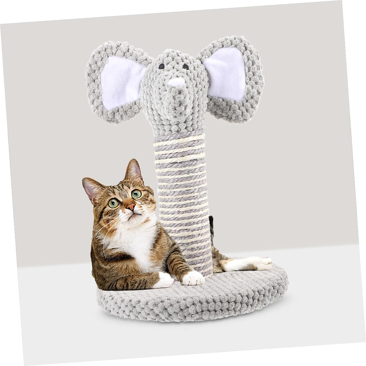VILLCASE 2pcs Kitten Cat Scratching Post and Climbing Frame Set Small Indoor Cat Claw Scratcher with Sisal Rope Sturdy Reusable Scratcher for Daily Use
