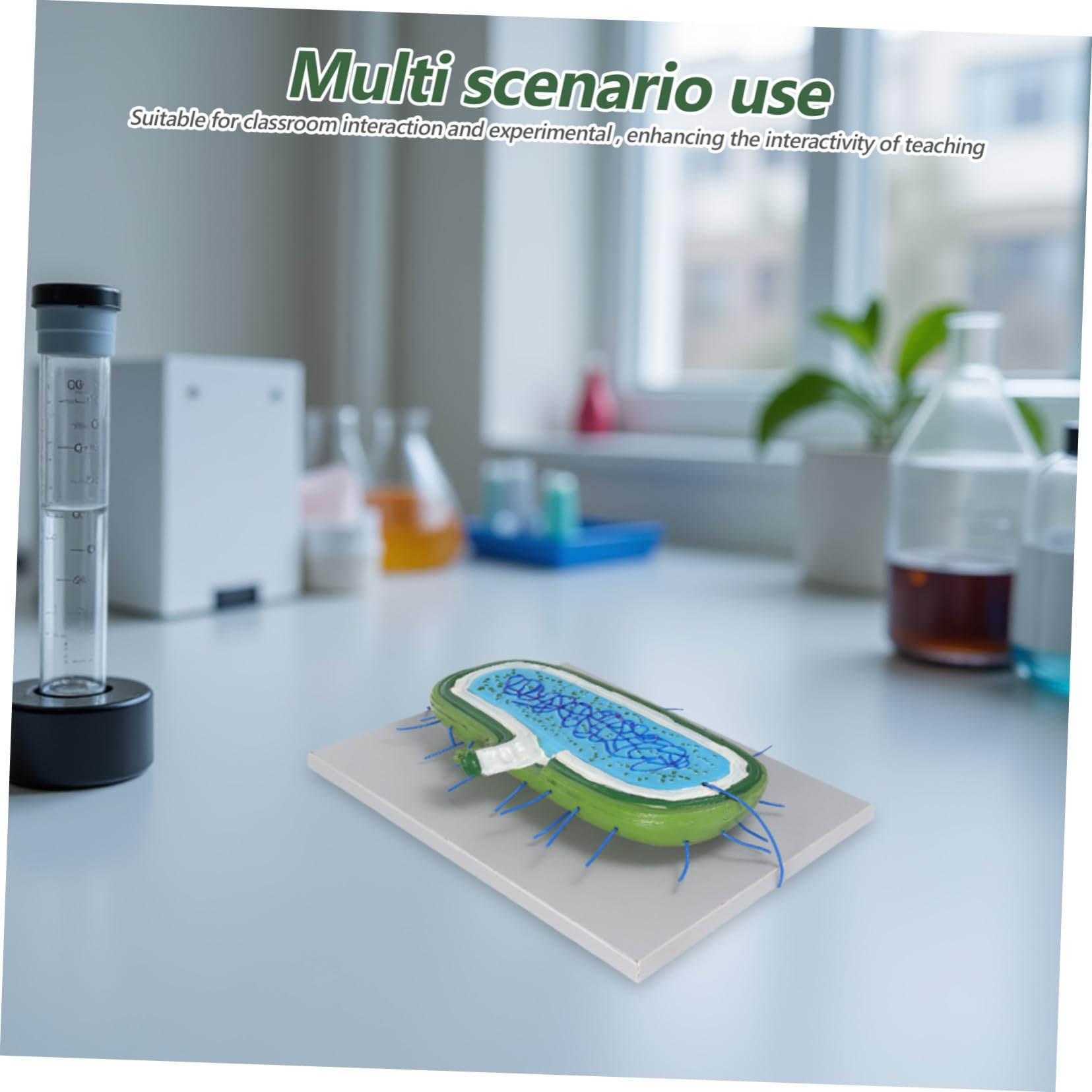 Gewebekultur-Modell für Biologieunterricht Zusammenbaubares Anatomisches Modell mit Zellkern und Organellen Unterrichtsmodell für Schüler