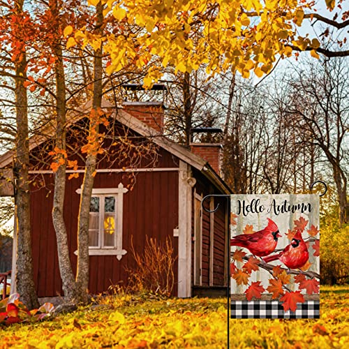 Covido Hello Autumn Cardinal Red Birds Decorative Garden Flag, Fall Maple Leaves Yard Outside Decoration, Buffalo Plaid Check Farmhouse Outdoor Small Burlap Home Decor Double Sided 12X18 #TOP4