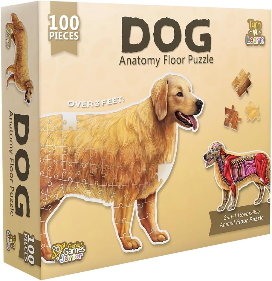 Dog Animal Anatomy Floor Puzzle | 100-Piece Double-Sided Jigsaw Puzzle | Large Floor Puzzle for Kids Ages 4–8, 3–5, 8–10 | Fun and Educational STEM Toy for Kids, Toddlers, and Families