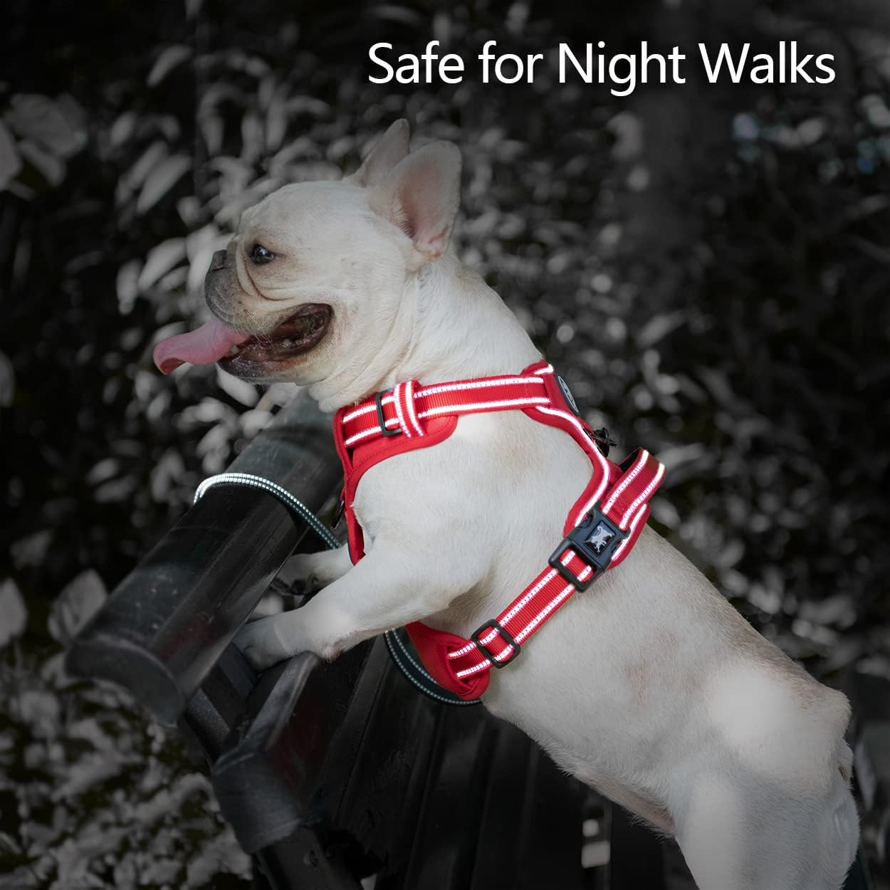 PoyPet No Pull Dog Harness, No Choke Reflective Dog Vest, Adjustable Pet Harnesses with Easy Control Padded Handle for Small Medium Large Dogs(Red Matching Trim,S)