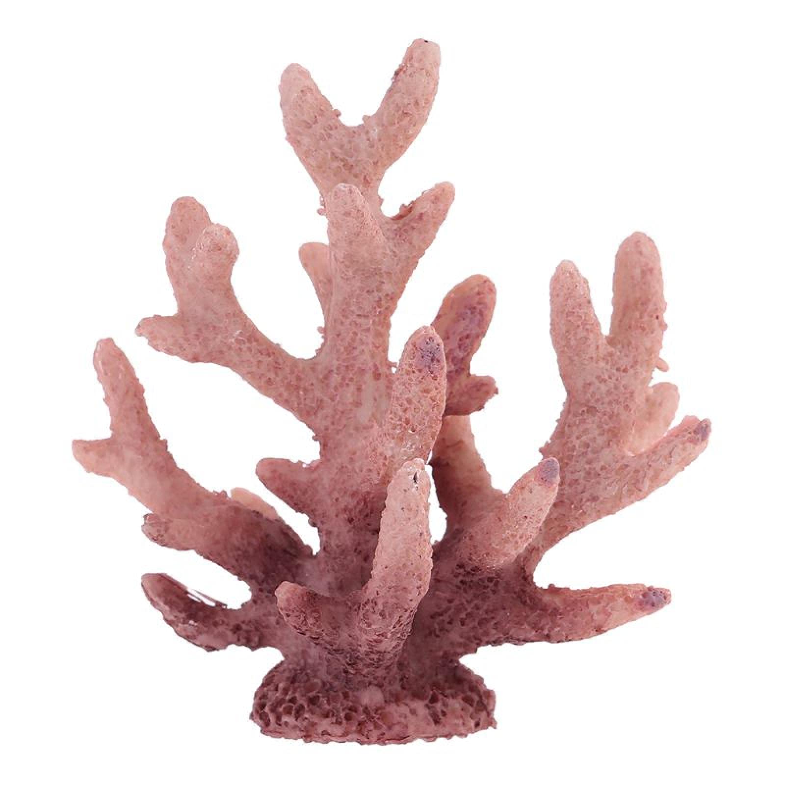 Coquillages de mer et corail en résine pour créer un récif tropical chez soi