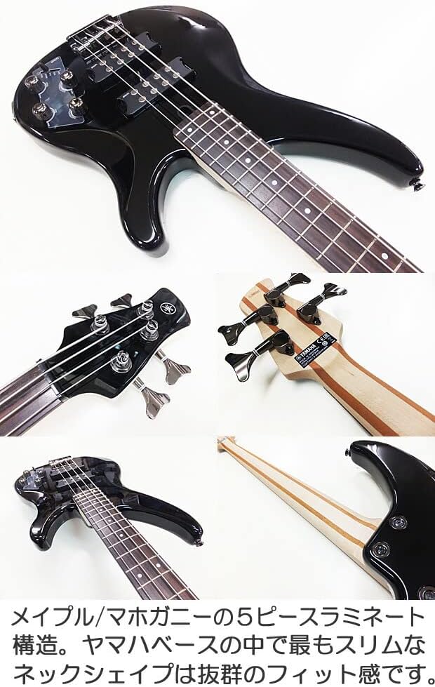 Stradi Sky Fretless 5弦 エレキベース Stradi Sky Fretless 5弦