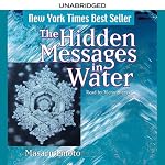 Cover of The Hidden Messages in Water