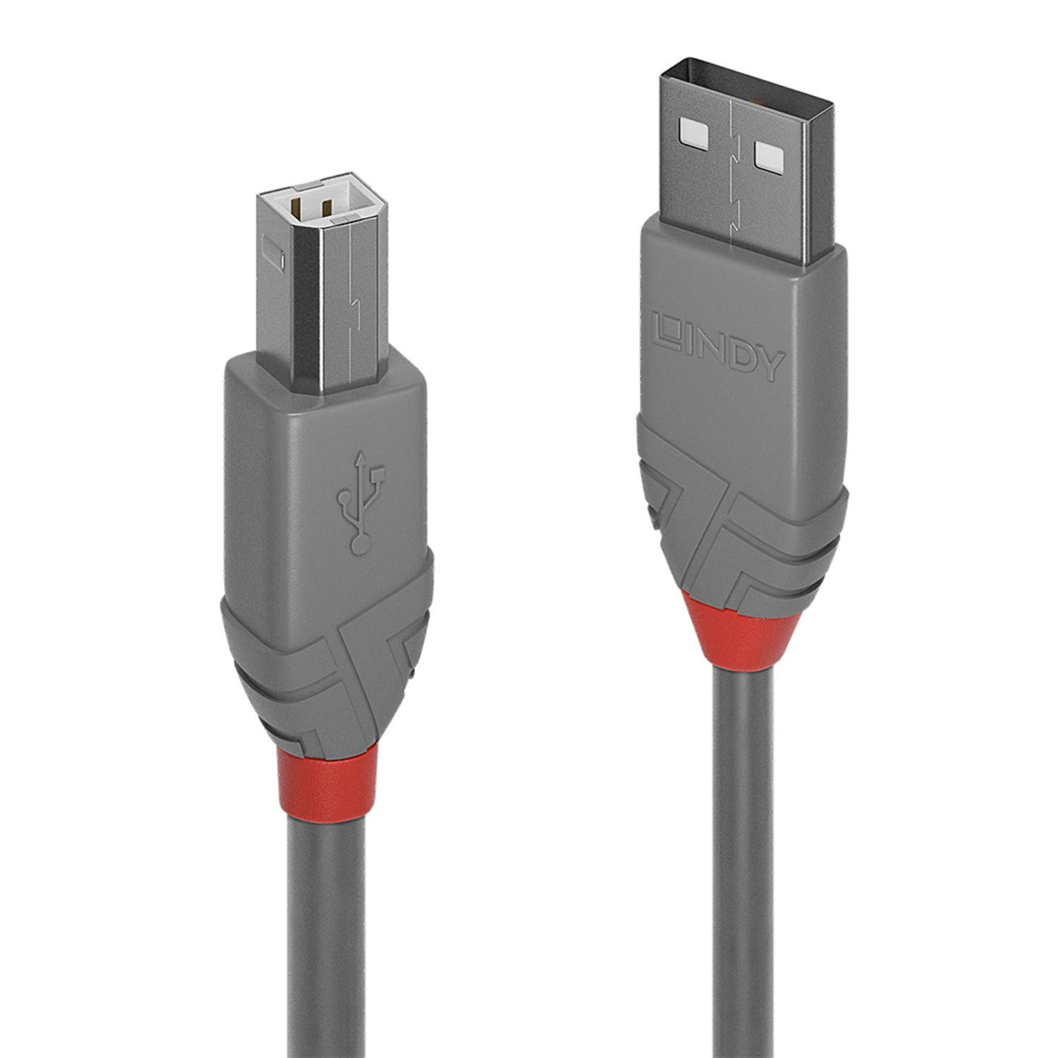Cavo USB 2.0 Tipo A a B Anthra Line, 2m - Vista 3