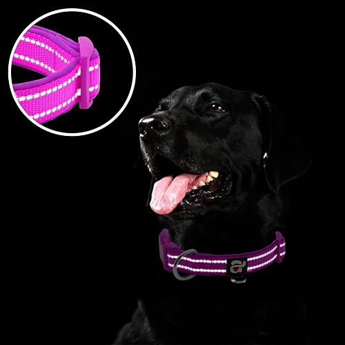 Miniatura 4 de azuza Collar reflectante para perro, collar de neopreno suave acolchado para mascotas con anillo de etiqueta de identificación, ajustable para