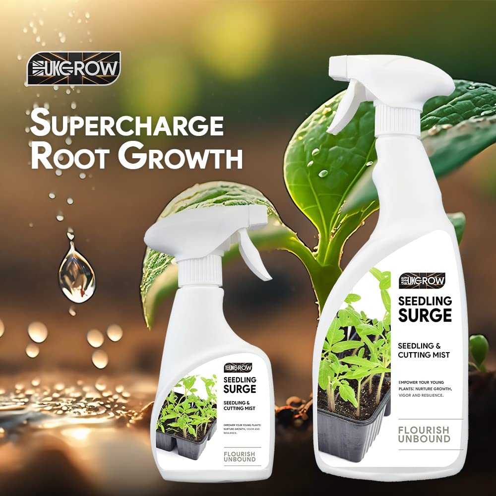 View 6