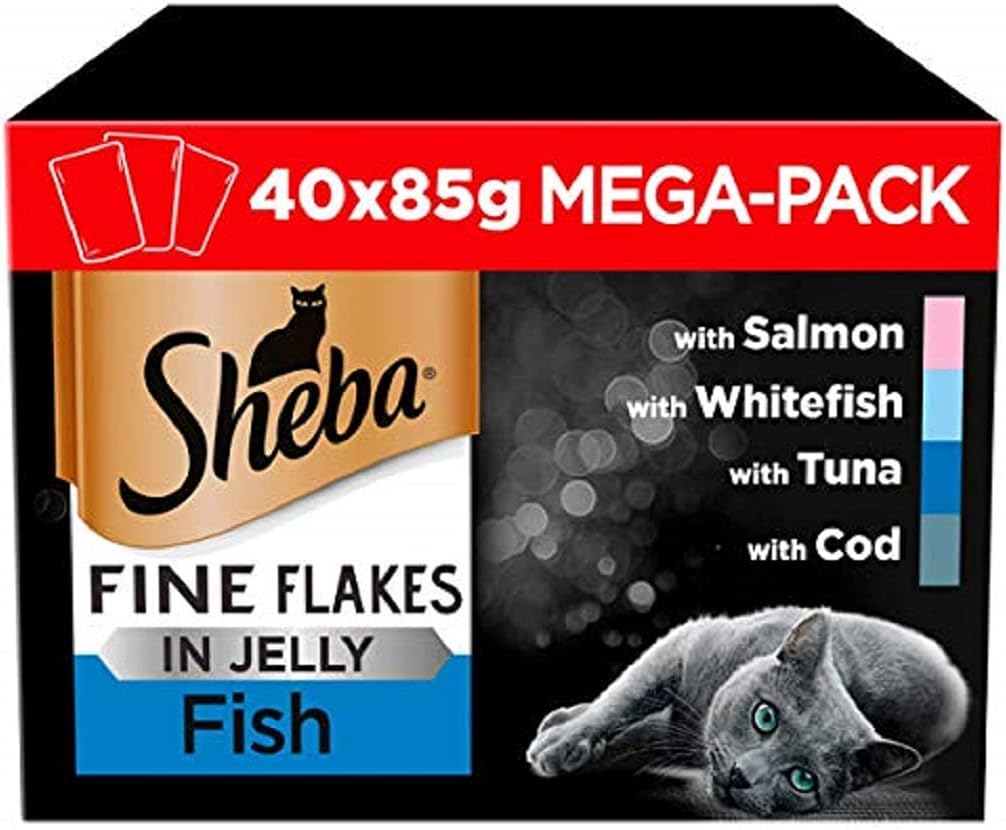 sheba fish