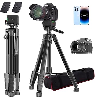 Camera Tripod, 74" DSLR Camera Tripod with 2 QR Plates for Sony/Nikon/Canon, Lightweight Video Tripod Stand for Travelling, Phone Tripod with Fluid Head/Phone Holder/Wireless Remote Max.Load 6kg 175