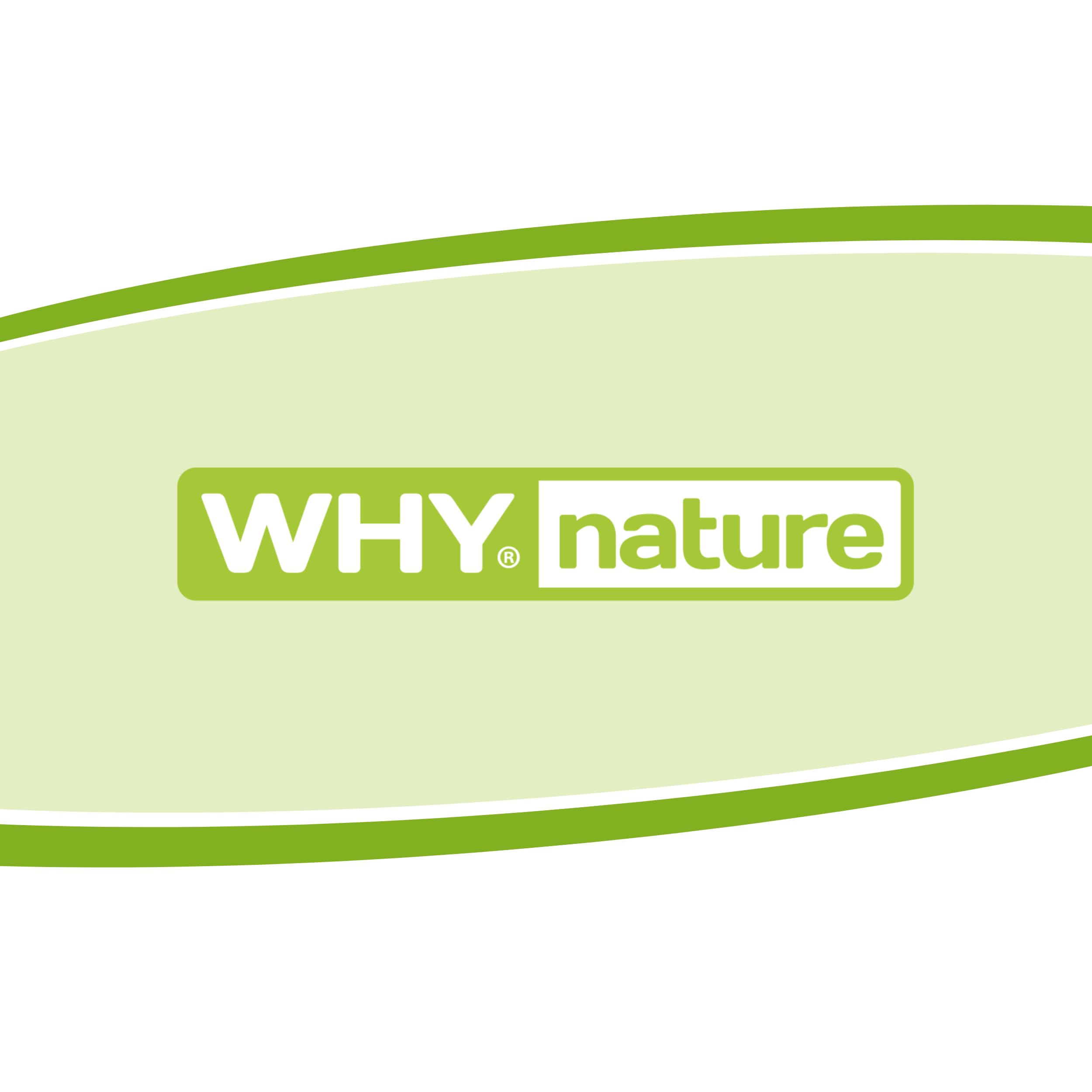 WHY NATURE Crostatina Proteica - Snack Proteici - Gusto Cioccolato e Nocciola - 35 gr