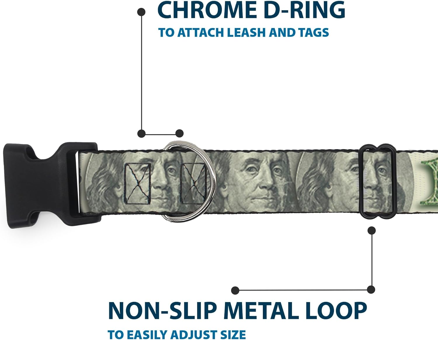 Dog Collar Plastic Clip 100 Dollar Bill Close Up Triple Benjamin 18 to 32 Inches 1.5 Inch Wide