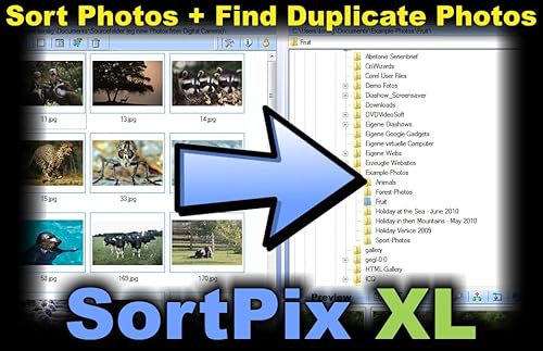 In Mediakg Ti Sortpix Xl (2024) - Photo Management Software For Photo Organizing thumb #6