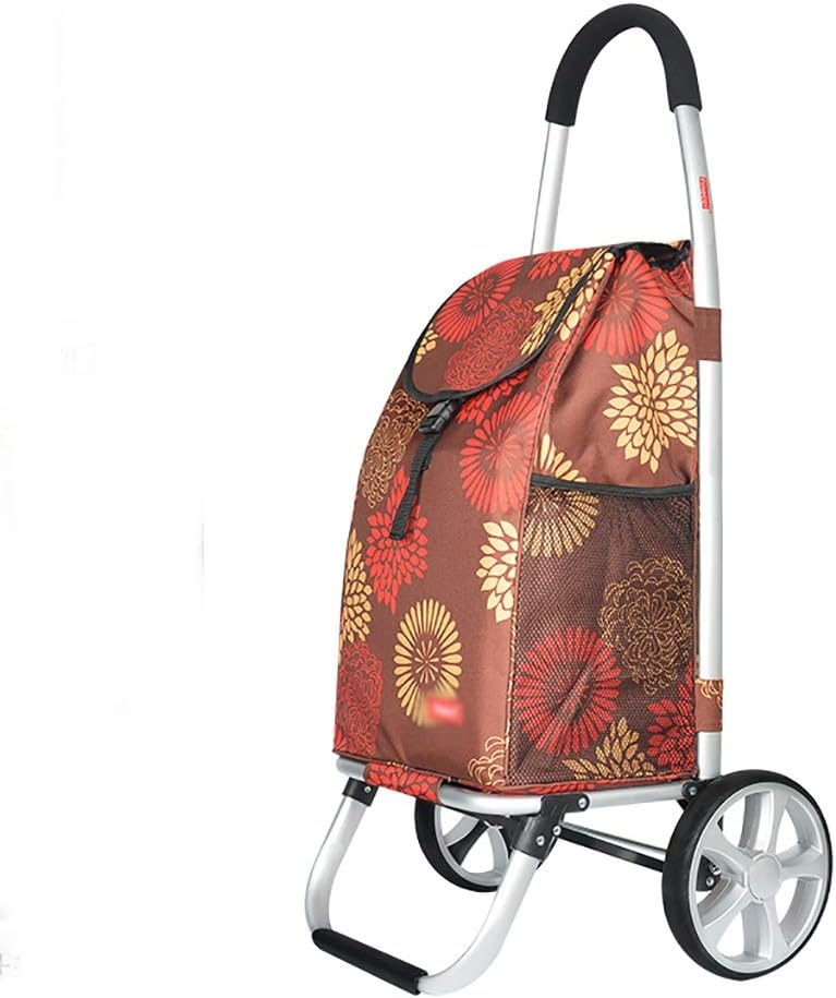 ♦︎1番目にBLACK取得個体♦︎ヒロシマのピカチュウ gemix10 BLACK ポ