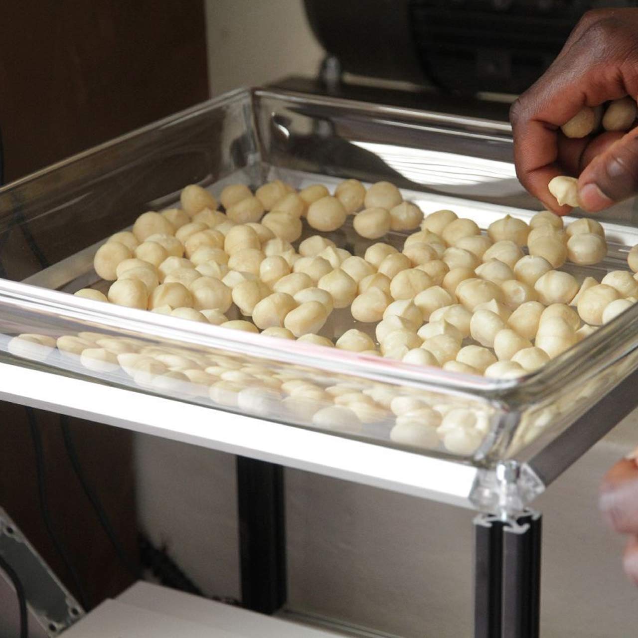Bio-Macadamianüsse 800g - Macadamia ohne Schale - ungeröstet und ungesalzen - Nachfüllpackung für 0,8kg Glas - naturbelassen aus kleinbäuerlicher Landwirtschaft am Mount Kenya