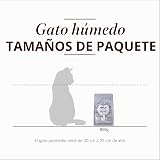 Ver la foto 7