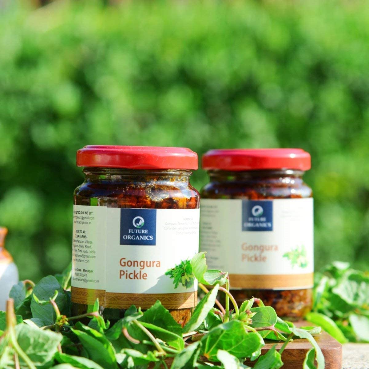 See full amazon price history chart for Future Organics Gongura Andhra Pickle + Pudina with Olive Oil Andhra Pickle - 160 Grams each Combo Pack Future Organics Gongura Andhra Pickle + Pudina with Olive Oil Andhra Pickle - 160 Grams each Combo Pack (B09KBZPQS1) Amazon Price History, Amazon Price Tracker