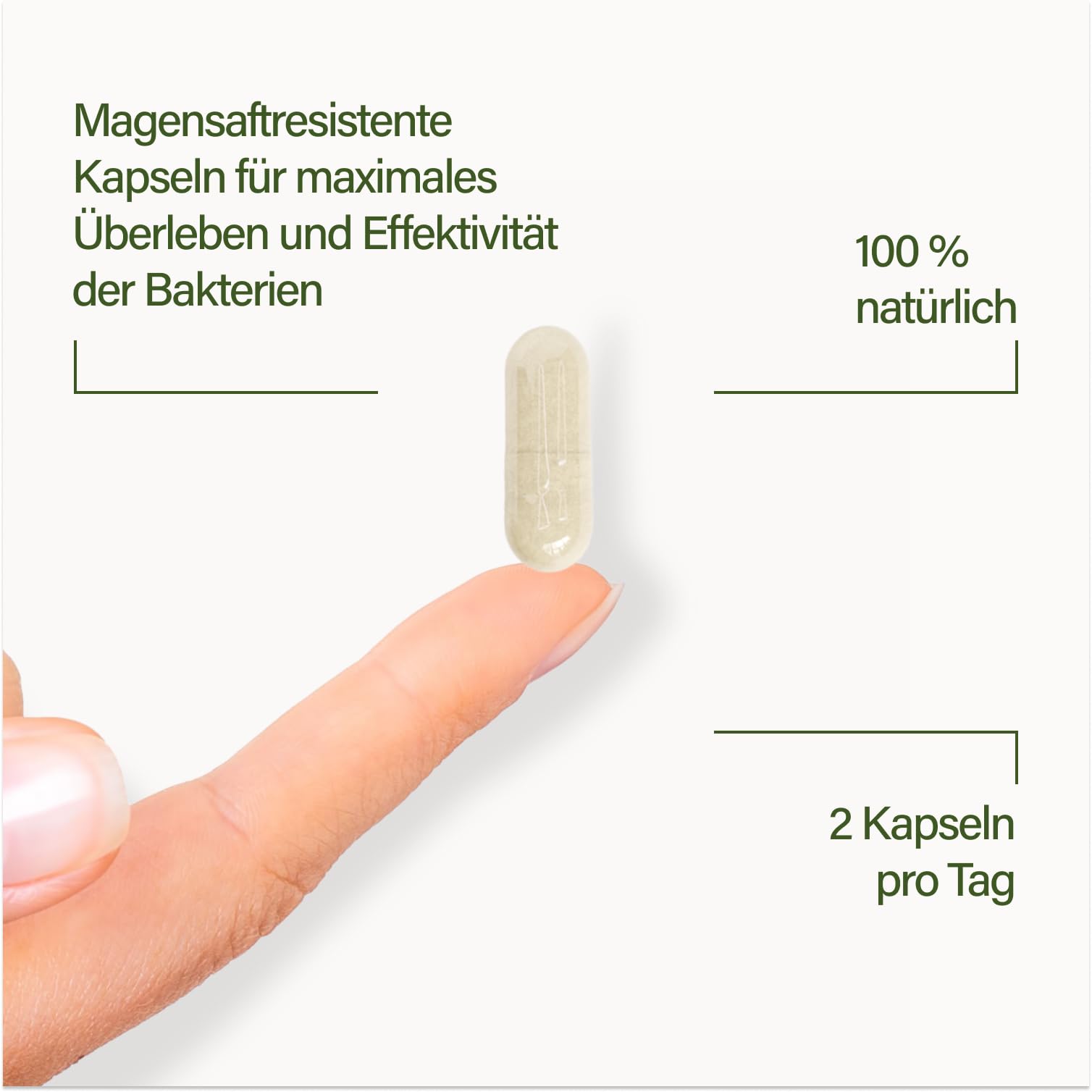 Nupure® Probaflor MAX SPEKTRUM N95 – 600 Mrd. KBE/g, 95 Bakterienstämme, mit Lactobacillus, Inulin & Bifidobakterien, 95 Mrd. KBE, magensaftresistent, 80 Kapseln