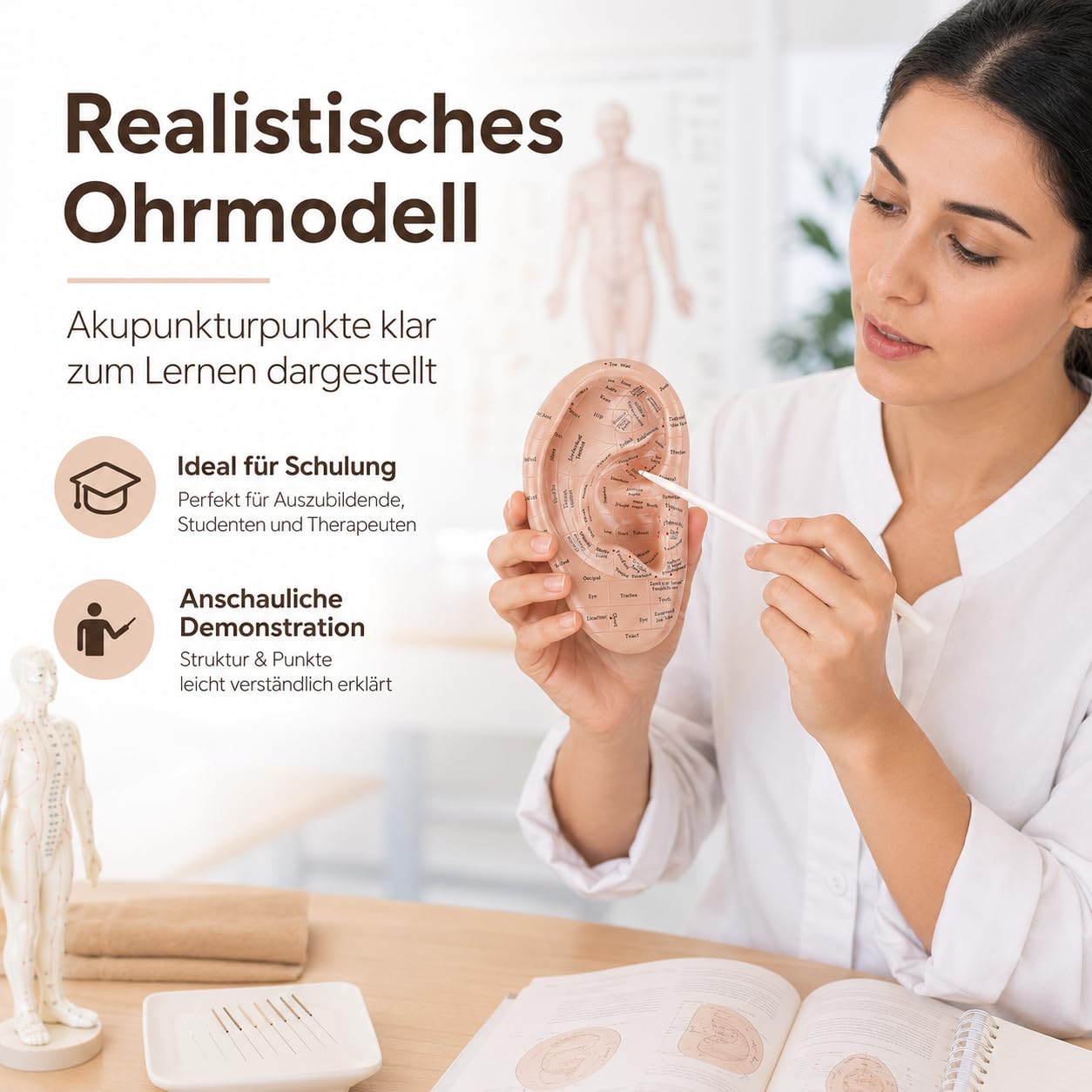 Ohrakupunktur- Tool Menschliches Ohr Anatomisches Ohr Punkt Vaccaria Acupoint Englische Charaktere Chinesische Massage Lehrrequisite Diagramm Ohrakupunktur