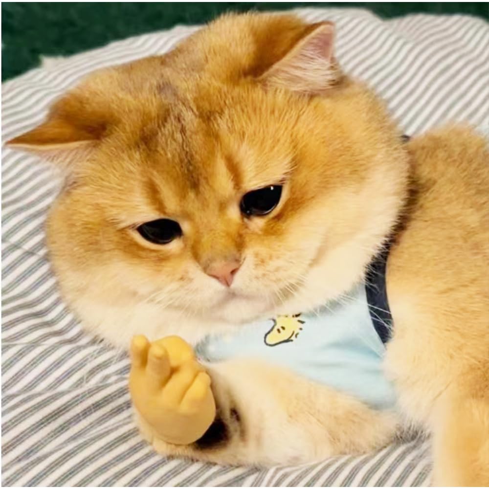 fnqiank 10 PCS Mini Hands for Cats?Small Hands Tiny Folded Hands Mini Realistic Hand Finger Puppets for Puppet Show,Gag Performance, Funny Stretchable Rubber Little Finger Hands for Cats and Puppy