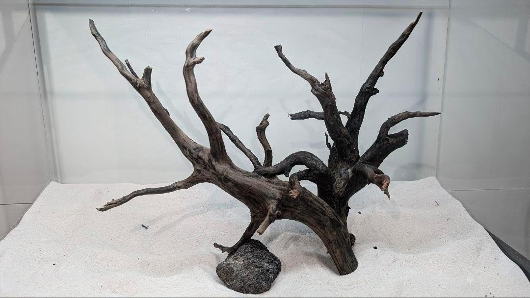 レイアウトセット【LSB010】 スマトラブランチウッド 水槽 まとめ買い対応 ブラックスマトラブランチウッドセット流木のみ アクアリウムの